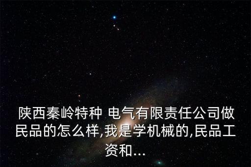  陜西秦嶺特種 電氣有限責(zé)任公司做民品的怎么樣,我是學(xué)機械的,民品工資和...