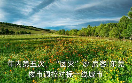 年內(nèi)第五次、“團(tuán)滅”炒 房客!東莞樓市調(diào)控對標(biāo)一線城市