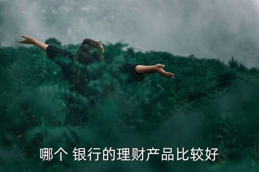 哪個 銀行的理財(cái)產(chǎn)品比較好