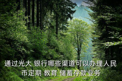 通過(guò)光大 銀行哪些渠道可以辦理人民幣定期 教育 儲(chǔ)蓄存款業(yè)務(wù)