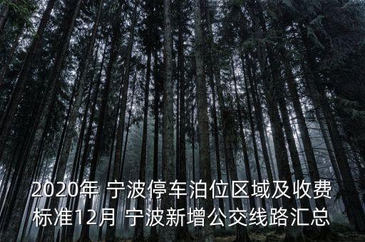 2020年 寧波停車泊位區(qū)域及收費(fèi)標(biāo)準(zhǔn)12月 寧波新增公交線路匯總