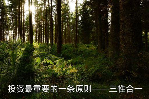 善境投資,善達(dá)投資怎么樣