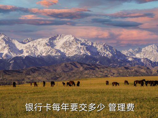  銀行卡每年要交多少 管理費(fèi)