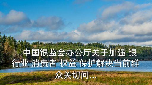 實施銀行業(yè)消費者權(quán)益保護(hù)的工作主體,提升銀行業(yè)水平是消費者權(quán)益保護(hù)工作