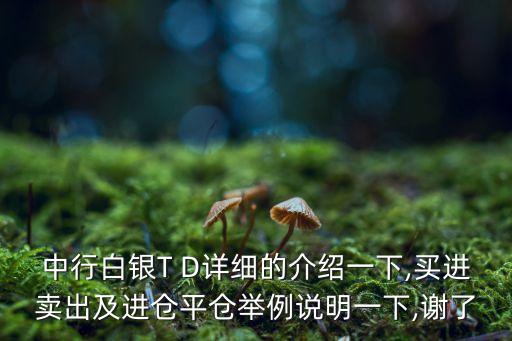 中行白銀T D詳細的介紹一下,買進賣出及進倉平倉舉例說明一下,謝了