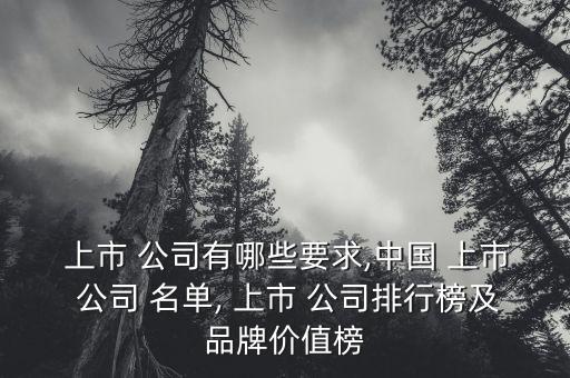  上市 公司有哪些要求,中國 上市 公司 名單, 上市 公司排行榜及品牌價(jià)值榜