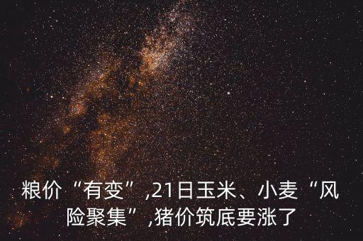 糧價“有變”,21日玉米、小麥“風(fēng)險聚集”,豬價筑底要漲了