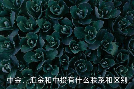 中金、匯金和中投有什么聯(lián)系和區(qū)別