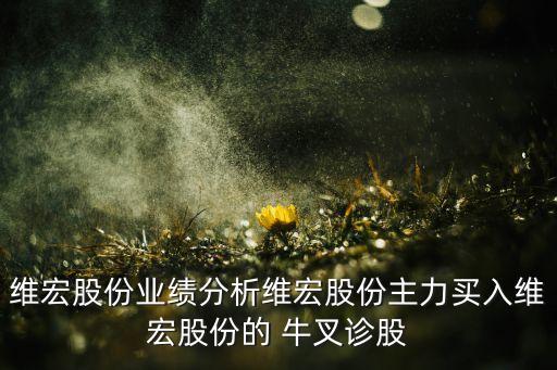 維宏股份業(yè)績(jī)分析維宏股份主力買(mǎi)入維宏股份的 牛叉診股
