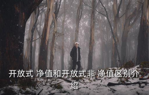 開放式 凈值和開放式非 凈值區(qū)別介紹