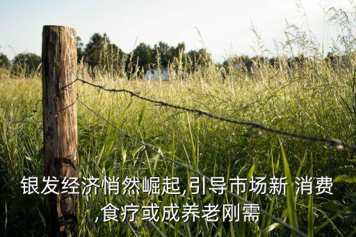 銀發(fā)經(jīng)濟(jì)悄然崛起,引導(dǎo)市場新 消費(fèi),食療或成養(yǎng)老剛需