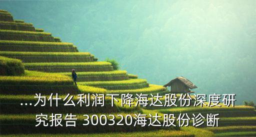 ...為什么利潤(rùn)下降海達(dá)股份深度研究報(bào)告 300320海達(dá)股份診斷