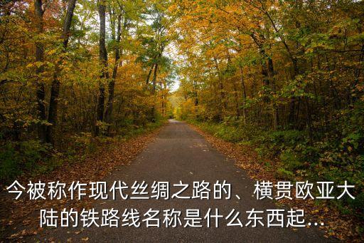 今被稱作現(xiàn)代絲綢之路的、橫貫歐亞大陸的鐵路線名稱是什么東西起...