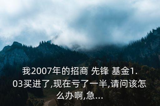 我2007年的招商 先鋒 基金1.03買進(jìn)了,現(xiàn)在虧了一半,請(qǐng)問(wèn)該怎么辦啊,急...