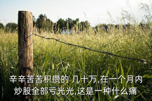 辛辛苦苦積攢的 幾十萬(wàn),在一個(gè)月內(nèi)炒股全部虧光光,這是一種什么痛