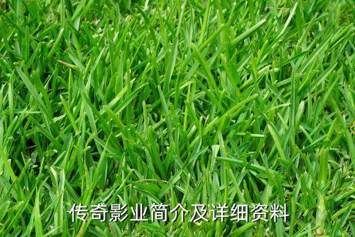 傳奇影業(yè)簡介及詳細(xì)資料
