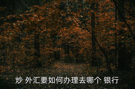 炒 外匯要如何辦理去哪個 銀行