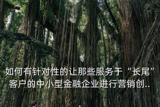 如何有針對(duì)性的讓那些服務(wù)于“長(zhǎng)尾”客戶的中小型金融企業(yè)進(jìn)行營銷創(chuàng)...