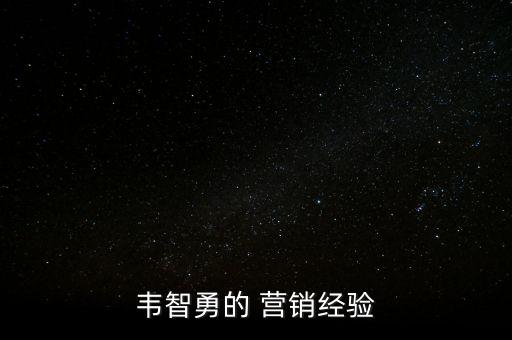韋智勇的 營銷經(jīng)驗