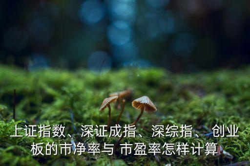 上證指數(shù)、深證成指、深綜指、 創(chuàng)業(yè)板的市凈率與 市盈率怎樣計(jì)算