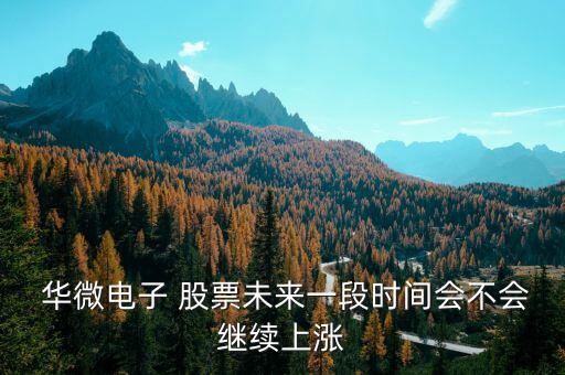  華微電子 股票未來一段時(shí)間會不會繼續(xù)上漲