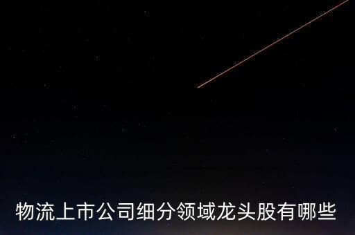 物流上市公司細分領域龍頭股有哪些