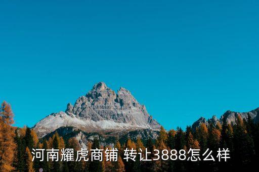  河南耀虎商鋪 轉(zhuǎn)讓3888怎么樣