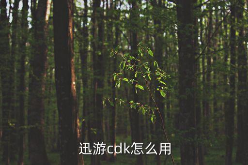 四川迅游網絡科技股份有限公司ipo
