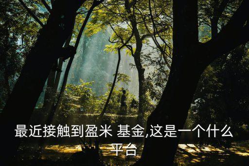 最近接觸到盈米 基金,這是一個(gè)什么平臺(tái)