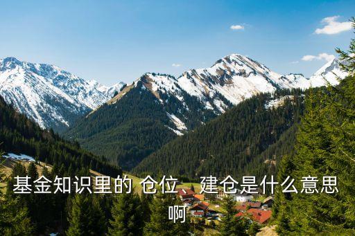 基金知識里的 倉位、建倉是什么意思啊