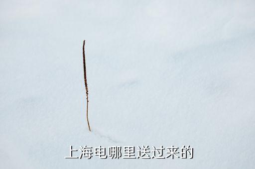  上海電哪里送過(guò)來(lái)的