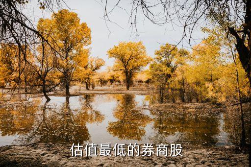 2015低估值股票,低估值的優(yōu)質股票有哪些