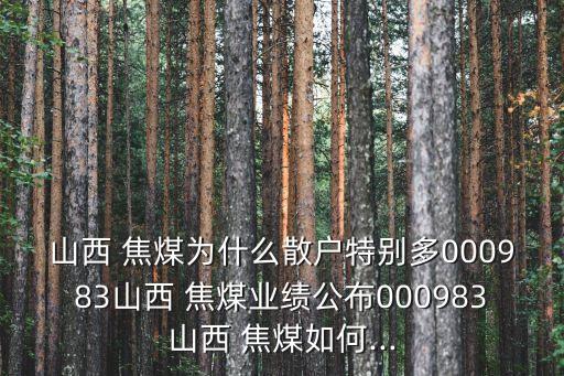 焦煤集團(tuán)批煤,山西焦煤集團(tuán)山煤國際董事長