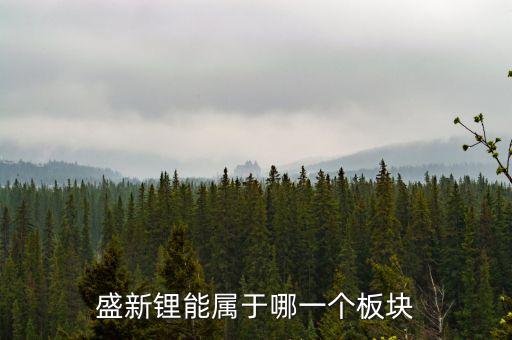 盛新鋰能屬于哪一個板塊