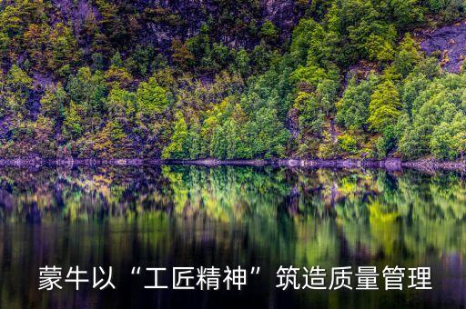 蒙牛集團組織結構,蒙牛組織結構圖