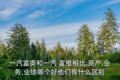 一汽富奧和一汽 富維相比,資產(chǎn),業(yè)務(wù),業(yè)績(jī)哪個(gè)好他們有什么區(qū)別