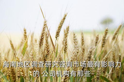 海南地區(qū)調(diào)查研究咨詢(xún)市場(chǎng)最有影響力的 公司機(jī)構(gòu)有那些