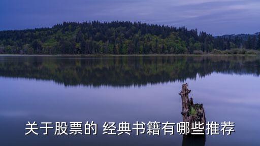 股市投資經(jīng)典,股市不好的時候投資什么