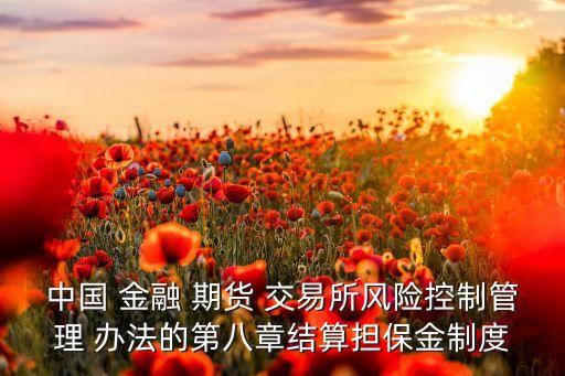 中國 金融 期貨 交易所風(fēng)險控制管理 辦法的第八章結(jié)算擔(dān)保金制度