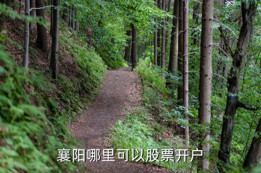 襄陽(yáng)哪里可以股票開戶