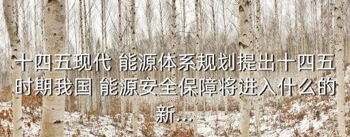 十四五現代 能源體系規(guī)劃提出十四五時期我國 能源安全保障將進入什么的新...