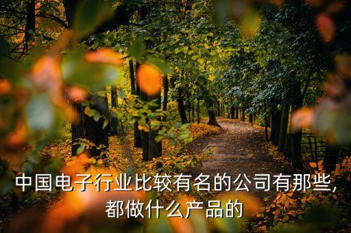 中國電子行業(yè)比較有名的公司有那些,都做什么產(chǎn)品的