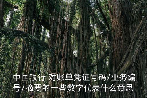  中國銀行 對賬單憑證號碼/業(yè)務(wù)編號/摘要的一些數(shù)字代表什么意思
