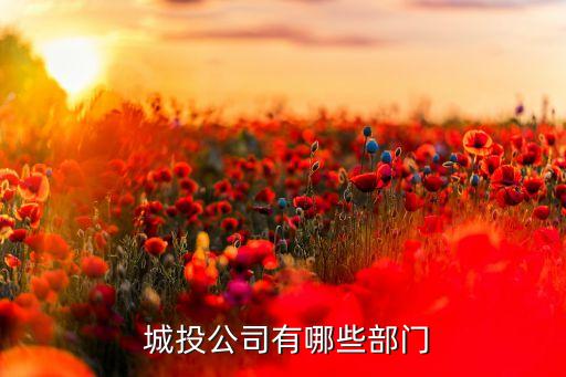  城投公司有哪些部門