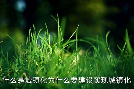 什么是城鎮(zhèn)化為什么要建設實現城鎮(zhèn)化