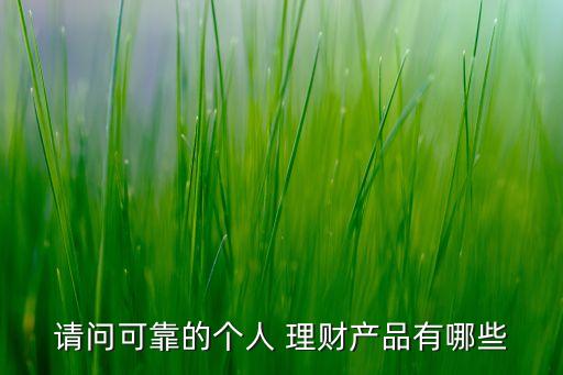 請問可靠的個(gè)人 理財(cái)產(chǎn)品有哪些