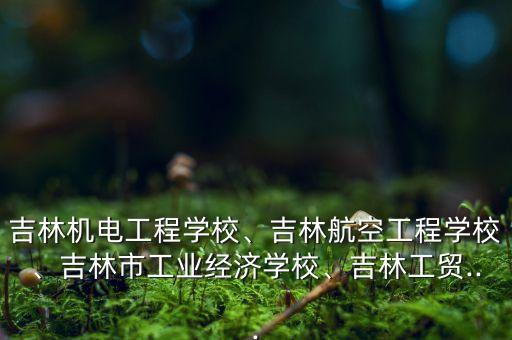 吉林機(jī)電工程學(xué)校、吉林航空工程學(xué)校、吉林市工業(yè)經(jīng)濟(jì)學(xué)校、吉林工貿(mào)...