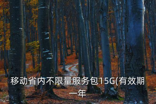 移動(dòng)省內(nèi)不限量服務(wù)包15G(有效期一年