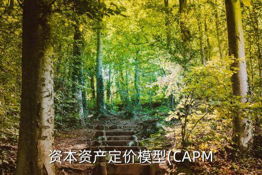 資本資產(chǎn)定價(jià)模型(CAPM
