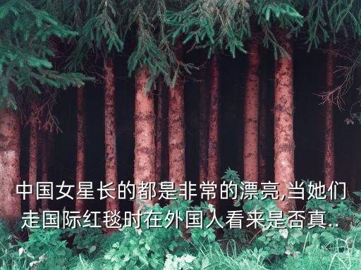 中國女星長的都是非常的漂亮,當(dāng)她們走國際紅毯時(shí)在外國人看來是否真...
